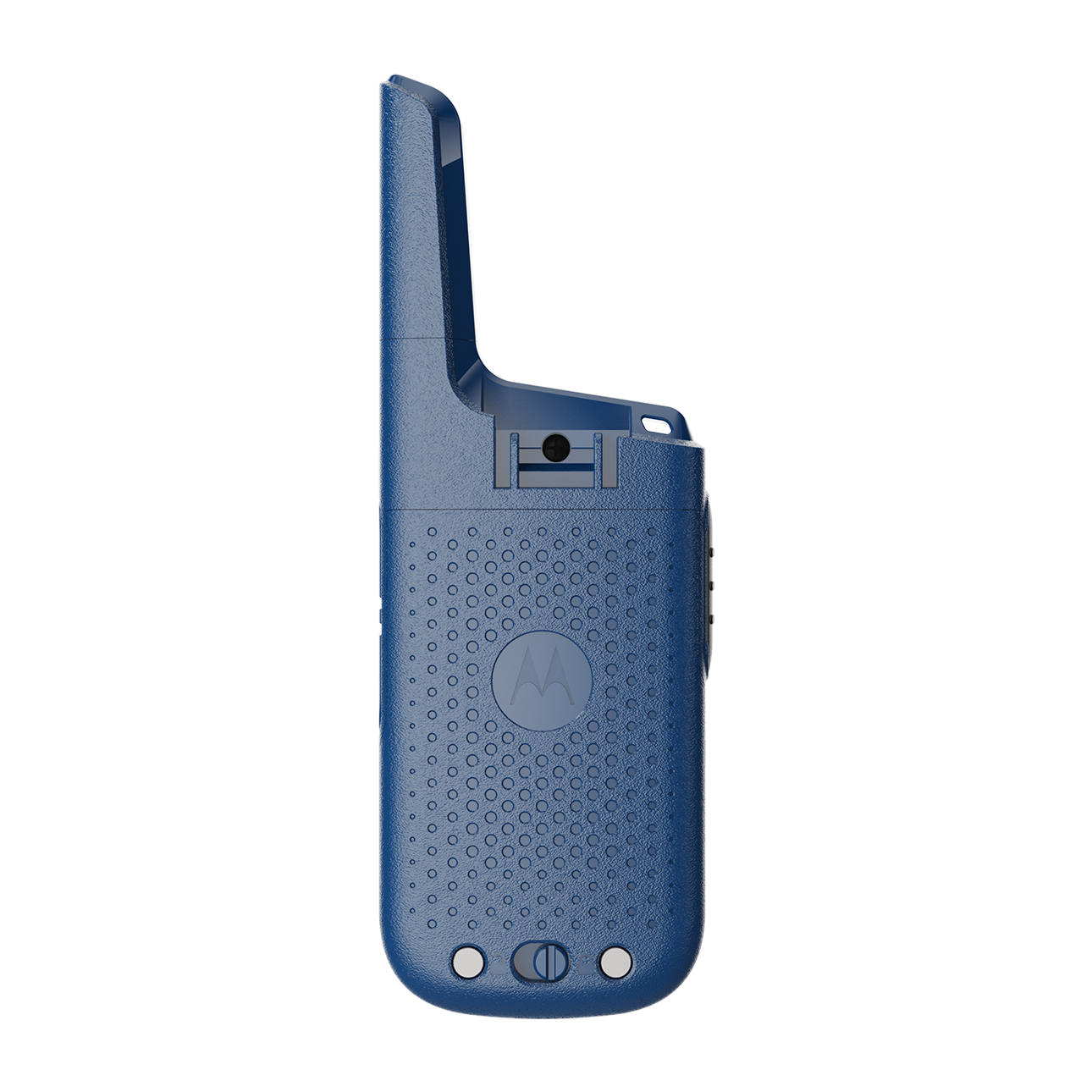 T39D Blue back